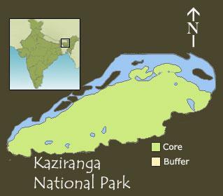 KAZIRANGA NATIONAL PARK & TIGER RESERVE 2006 Kaziranga Tiger Project :