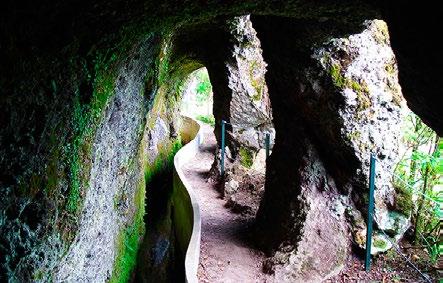 p.14 LEVADA DOS TORNOS BOAVENTURA In one of the most hidden places of the Island of Madeira, begins this walk that leads us to the origin of Levada dos Tornos,