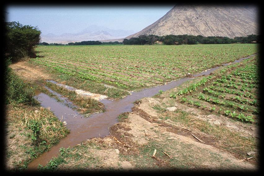 They created dikes and used irrigation to control the