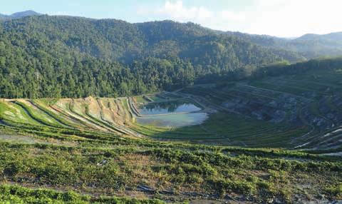 MAINTAINING OUR FOCUS CASE STUDY Gosowong post mining open pit land rehabilitation The Gosowong open pit was the first mine at PT. Nusa Halmahera Minerals (PT.