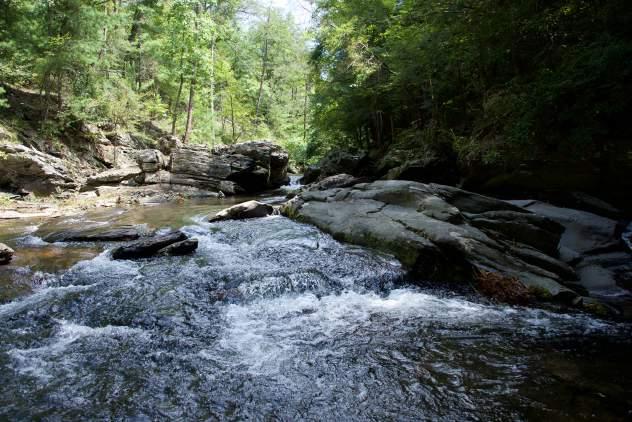 trout stream, waterfalls, older growth timber, and some of the largest natural pools found anywhere in the region.