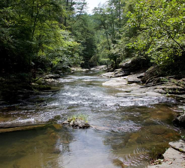 The Land: The topography along the stream provides the owner with many choices for locations of lodges and homesites which can be sited to maximize