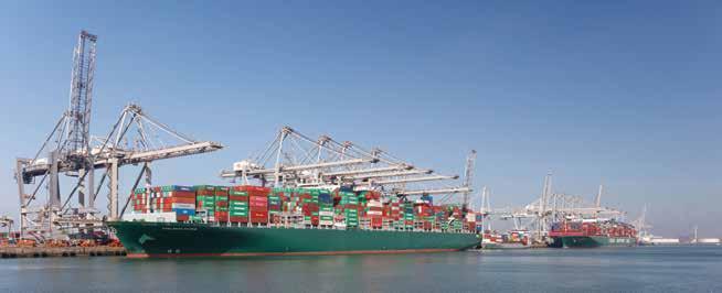 10 GLASS HALF FULL Development of global containership fleet capacity Year Total TEU Growth y-o-y CAGR 5-yr CAGR 10-yr 2016 20,680,000 2% 5% 7% 2015 20,258,000 8% 6% 8% 2014 18,822,000 6% 7% 9% 2013
