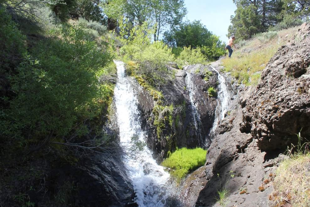 Introduction Shartel Creek Waterfalls June 2016 This magnificent 646 +/- deeded-acre property is located in Modoc County about 20 miles north of Cedarville, CA.