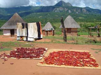 Administratively, the basin covers Mutasa Rural District, Nyanga National Park, and a small part of Nyanga Rural District in Zimbabwe. In Mozambique, it straddles parts of Sofala and Manica provinces.