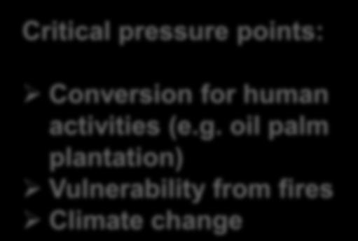points: Conversion for human activities