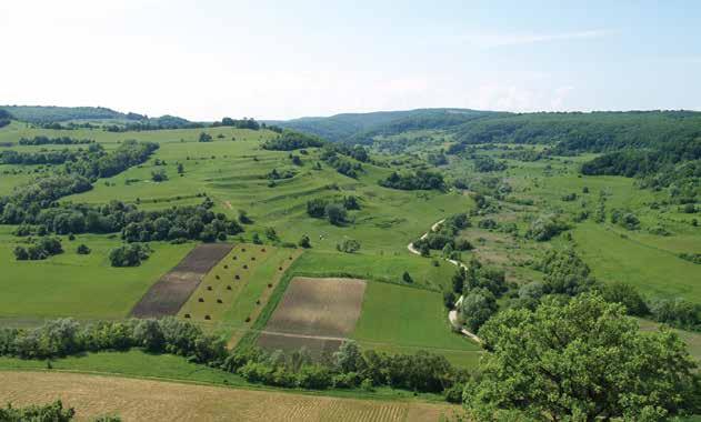Агро-еколошки програми во Европската Унија Земјите од Европската Унија изработуваат национални агроеколошки програми согласно потребите за заштита на природата и културните предели.
