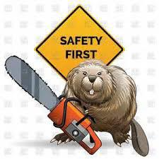 Class Outlines BSA Chainsaw Safety Certification Age Restriction: Adults Only Class Fee: None Max Class Size: 6 This program will incorporate safe chainsaw