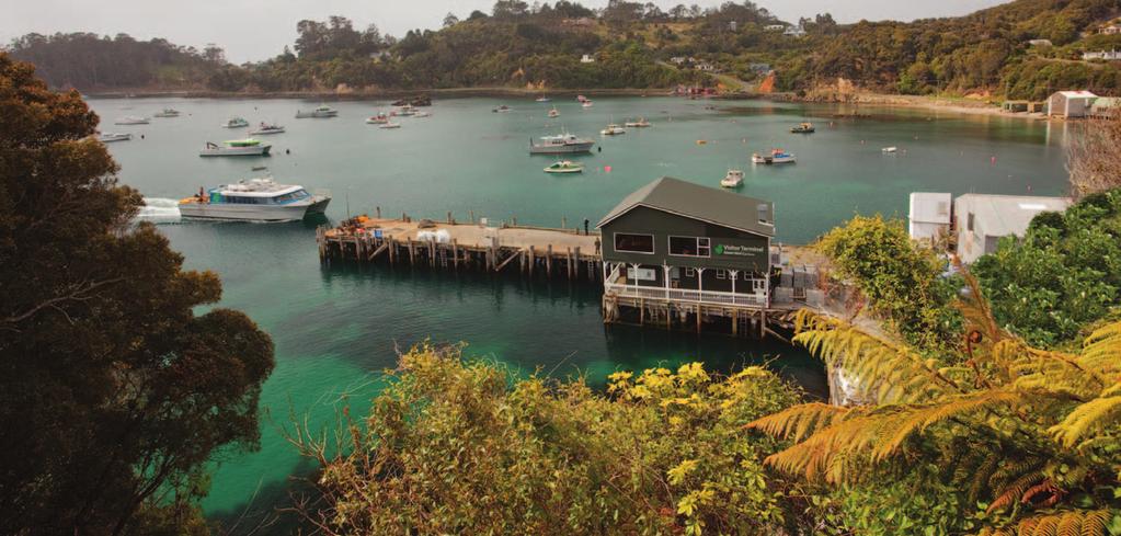 3 Ferry Services Ferry Services While most visitors spend at least one night on Stewart Island, it is also readily accessible by ferry as a day excursion from