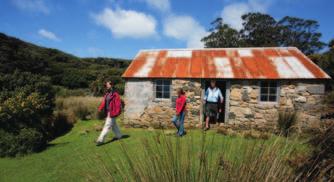 Guided Walks Guided Walks Immerse yourself in the sights and sounds of s native forest and deserted bays.