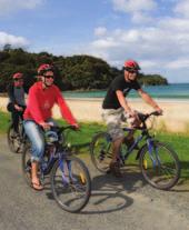 For the more adventurous, motor scooters and mountain bikes are both very popular rental options.