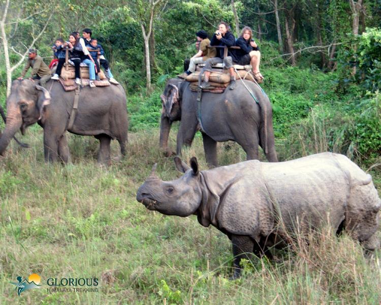 14 days Nepal adventure Holidays offers Jungle Safari Tour and pleasant trips across one of the nine National Parks of the Terai region (lowlands).