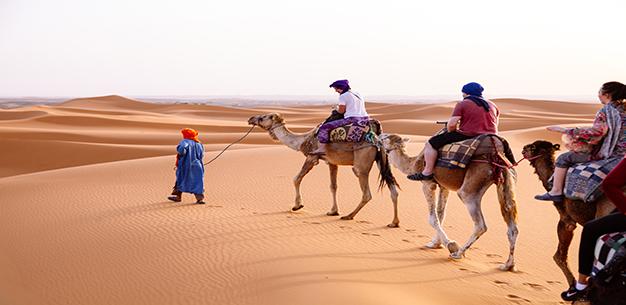 So take your family on an adventure from the Sahara Desert to the beaches of the Atlantic coast!