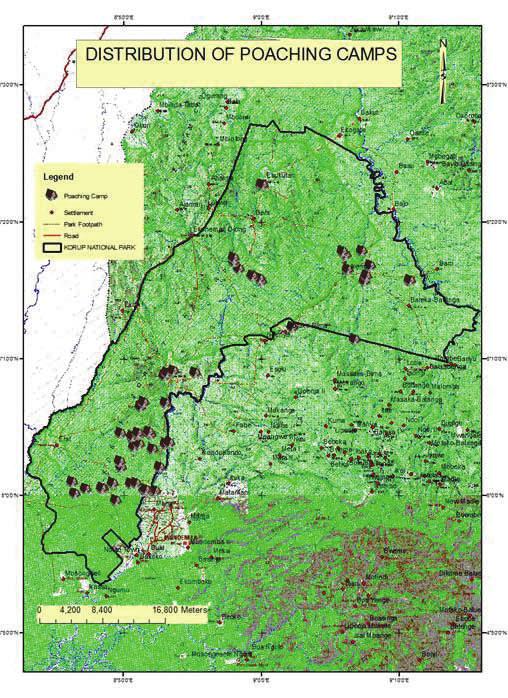 Analysis of the data would result to the production of geo-spatial distribution of wildlife, poaching and the gathering of Non Timber Forest Products (NTFPs) such as Bush Mango (Irvingia sp), Cane