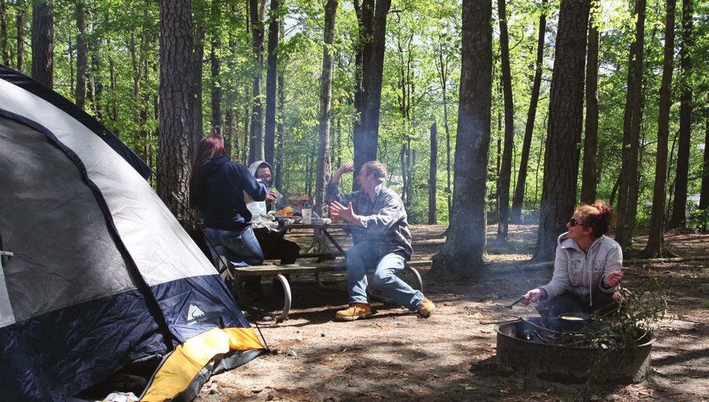 Introductory Accommodations New campers in 2015 are much less likely to have started camping in a tent when compared to longer-term campers.