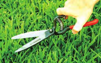 Grass Shears FORGED Classic Cut Grass Shear Professional scissor cutting action Resharpenable, forged steel alloy blades Fully heat-treated for strength Comfortable, non-slip grip Cuts tough sod and