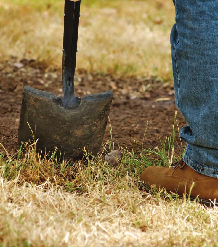 Corona Shovels No matter what you dig, we have the right shovel for the job. With over 100 different shovels, scoops, and spades available, Corona is here to help you realize your vision.