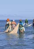 It involves more than 14,000 professional fishermen who receive an income from this activity.