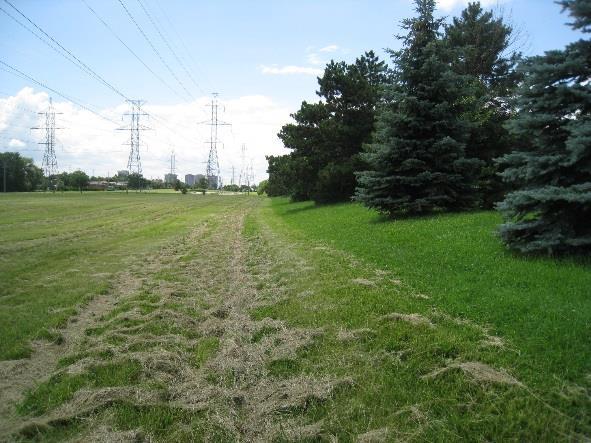 Note the berm / slope with trees beside the road.