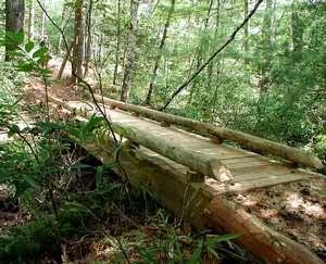 Figure 13 Simple Split Log Bridge Recreational Trail Design and Construction Figure 14 Rustic
