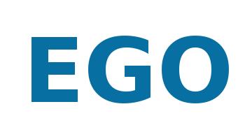 COST Action ES0904 - EGO (coordination/wide-open: include Australia, South Africa, Israel, Mexico, Canada,