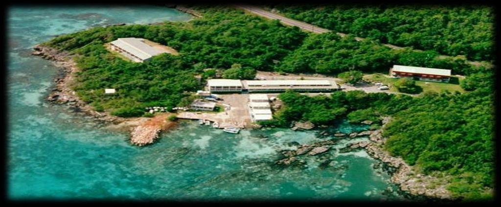 EXISTING SCIENCE/RESEARCH STRUCTURE UWI/ Centre for Marine Science (CMS)