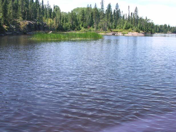 Campsite Privacy: Fair, due to portage trail Campsite View: Treed in Campsite Description: Very nice campsite, but little privacy (boaters from Long Lake like to use the