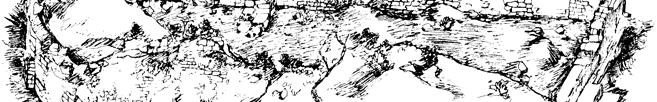 Relikvije su im pred rušilačkim avarskim i slavenskih prodorima sklonjene u Carigrad, a poslije su dospjele u Akvileju, baš kao i ostatci Sv. Anastazije u Zadar [2]. Crtež ostataka crkve Sv.