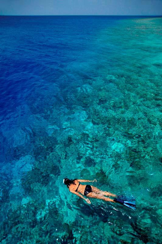 Dusit Thani Maldives area snorkeling -