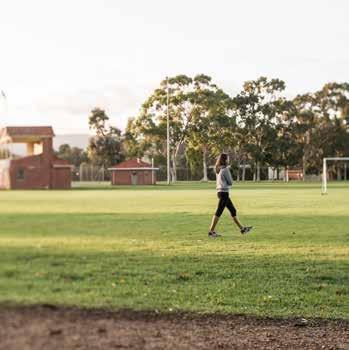 through schools and clubs, the Park Lands are well-regarded as a physical hub for social sports and general exercise.