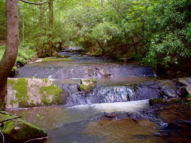 Well over 1 mile of bold rushing stream with large steep rapids, cascades, shoals and pools and over.5 miles of substantial secondary feeder stream water rich valleys nurturing timber and wildlife.