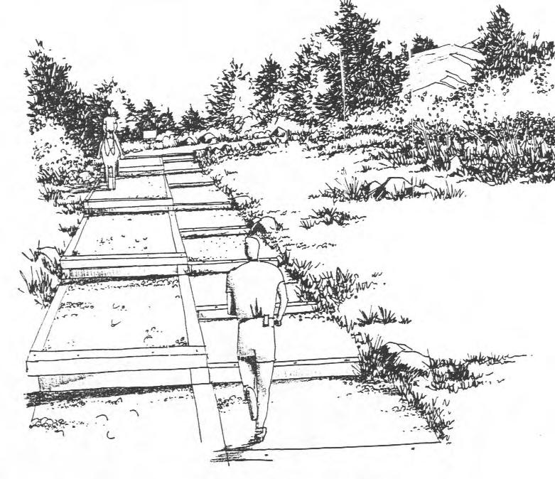 Pg. 15 Crib Box Risers for Intensive, Multi-use Equestrian & Hiking Trail This illustrations depicts the use of crib box risers for intensive, multi-use equestrian-hiking trails.