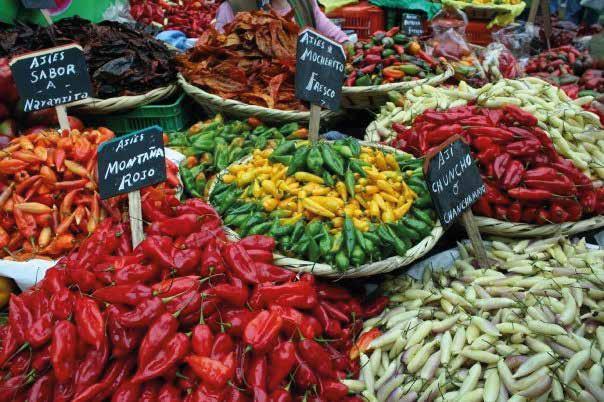 city of Lima. Learn about the different fruits, vegetables, meats, fish and seafood used in various Peruvian dishes.