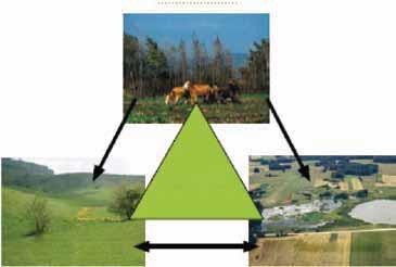 Poglavlje 3 1. Upotreba zemljišta niskog intenziteta biološka raznovrsnost je najčešće veća na poljoprivrednim zemljištima gde je način upravljanja niskog intenziteta.