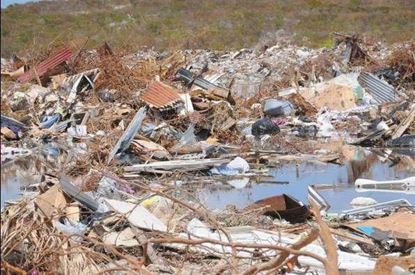 Environmental Assessment Hurricane Ike