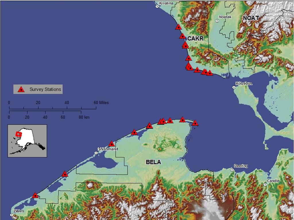 Field- And GIS-Based Measurements of Coastal Change for National Parks bordering the Southeast Chukchi Sea, Alaska William F. Manley Diane M. Sanzone James W. Jordan Owen K. Mason Eric G.