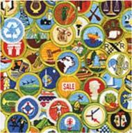 Merit Badge pre requisites and par als Age & Rank Restric ons If a scout has done pre requisites, they must show proof of what they have done.