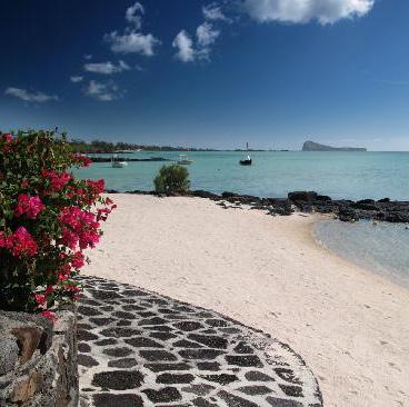 The luxuriant garden couples with the warm and inviting lagoon and spreads out onto the shore.