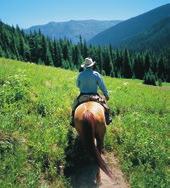 Ride 1-Hour Instructional Trail Ride $150 per person Ages 6 and up Pony