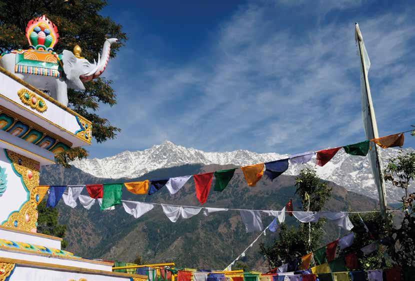 Trek India Himalayas for Marie Curie 6-15 October 2017