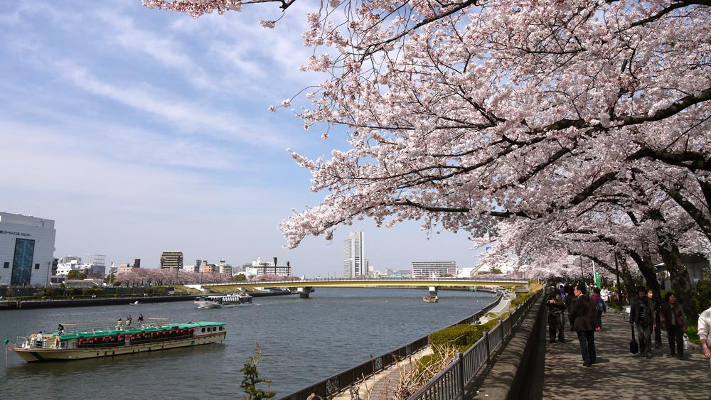 DAY 02 : TOKYO Enjoy Scenic Cruise on Sumida River.