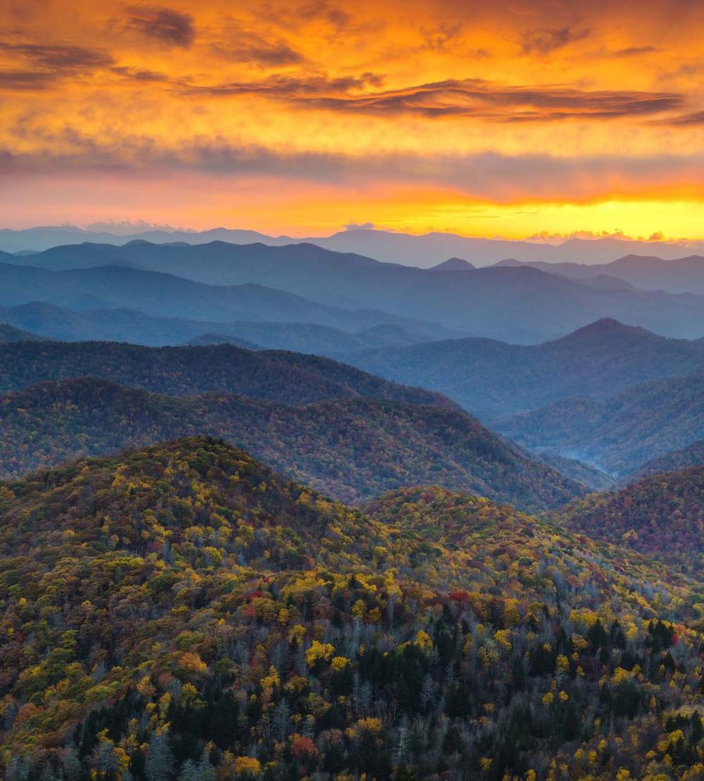 INSIGHTS More travelers are interested in visiting Asheville in 2016
