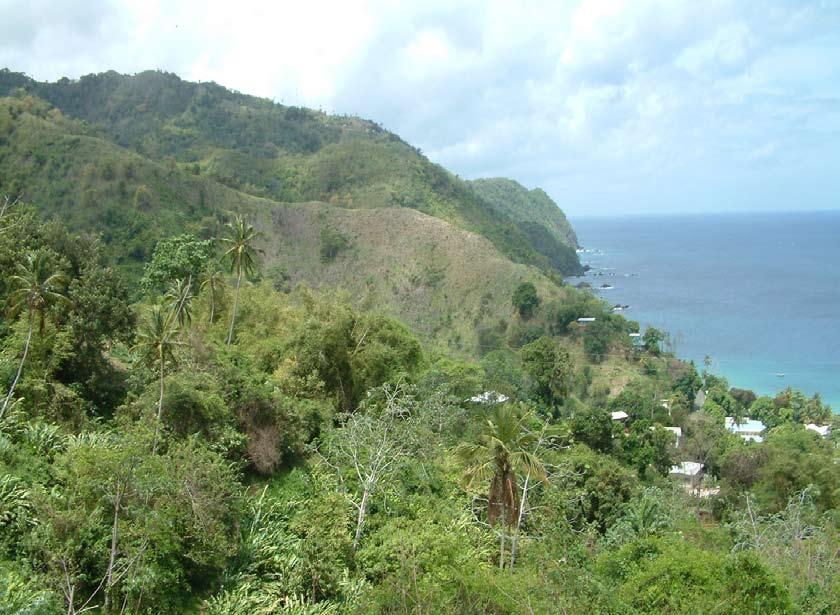 The site is on elevated undeveloped land above Castara Village. The elevated site forms one of the last ridges emerging from the rainforest falling to Castara Bay.