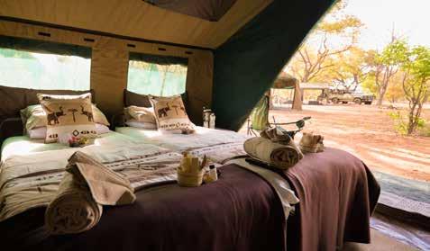 12 Night Botswana Classic Camping Contact Details Reservations: Nadine