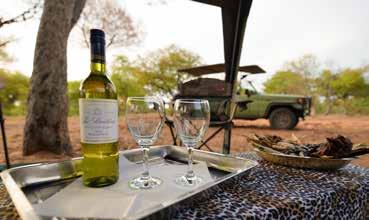 Day 2 Day trip to Baines Baobabs (seasonal) Sundowner game drive After a comfortable night under canvas, you will receive a 05h30 wake up call with warm water wash basins outside your tent and the