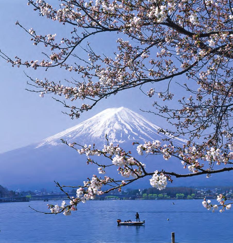 INSIDER S JAPAN September 24-October 6, 2018 13 days for $6,257 total price from San Francisco ($5,995 air