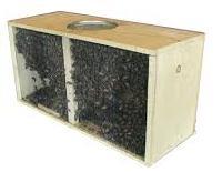 Installing a Package & Queen Not A Full, Functioning Hive - Need To Install As Soon As Possible If Have To Wait, Store in Dark, Cool,