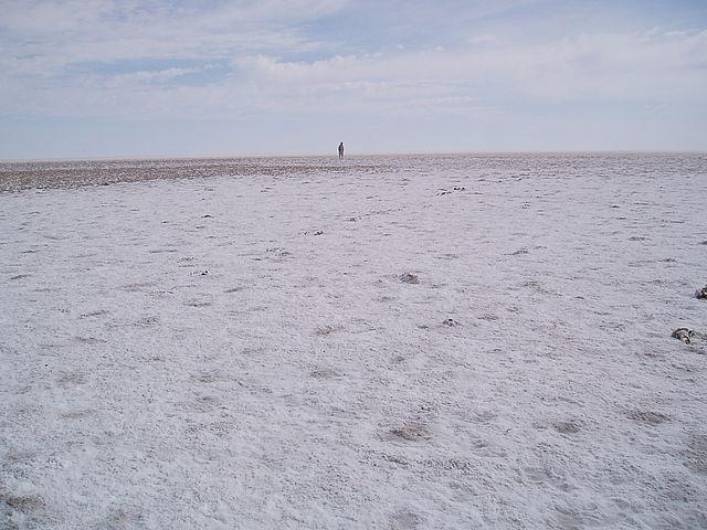 There are several deserts in this basin, which produce most of the dust in the Southern Hemisphere. The area is very dry and arid.