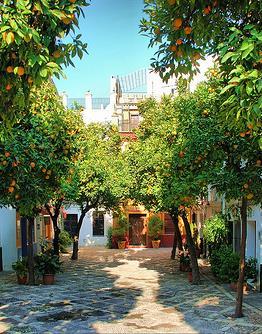 The neighborhood is the location of many of Seville's oldest churches and is home to the