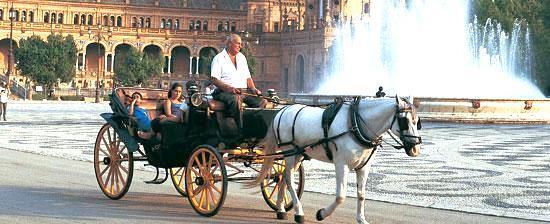 First, the group will enjoy a carriage ride along the riverside, to Plaza España and